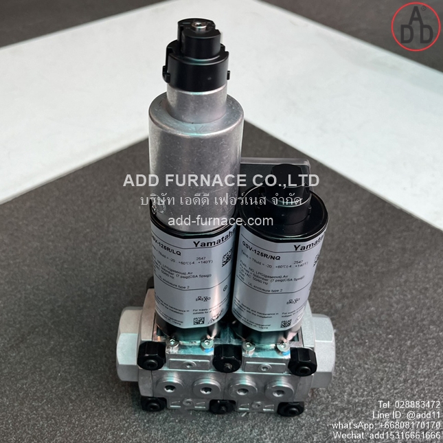 GSV-125R/LQ, GSV-125R/NQ (13)